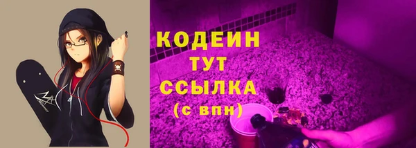 2c-b Горнозаводск