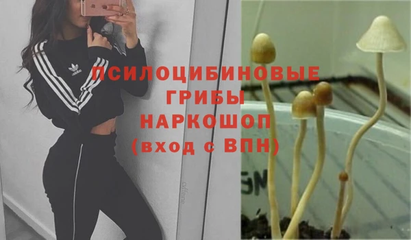 2c-b Горнозаводск