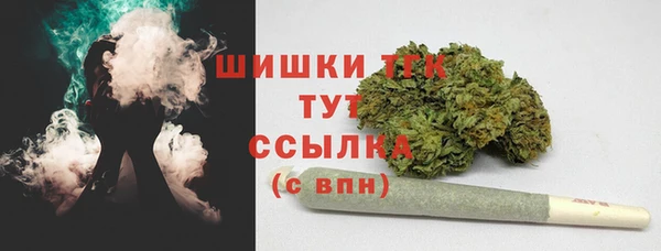 2c-b Горнозаводск